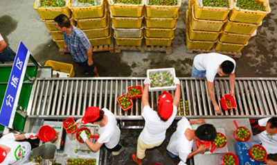 1646106746194775.jpg 02.jpg